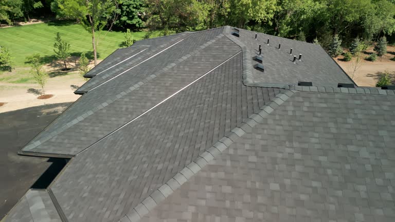 Best Skylight Installation and Repair  in Garfield, TX