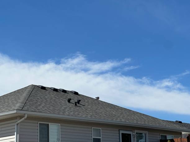 Fast & Reliable Emergency Roof Repairs in Garfield, TX